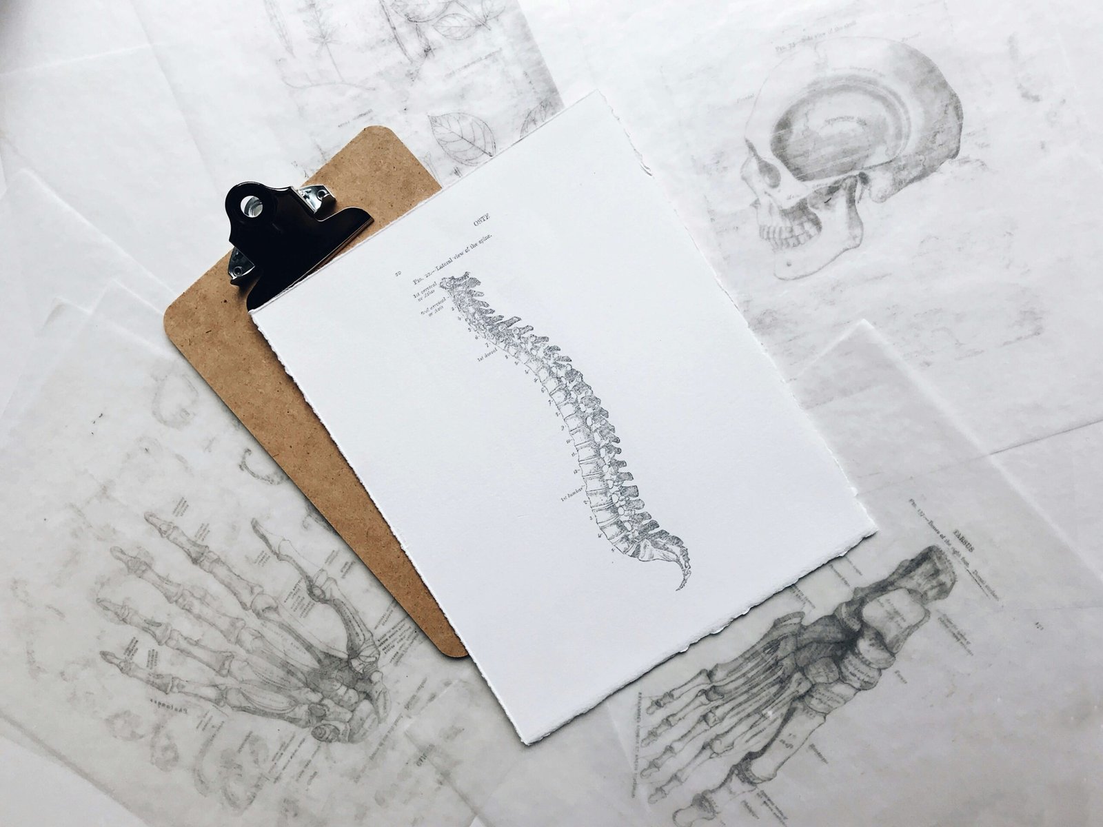 How Can a Spinal Cord Injury Affect Your Future and What Legal Rights Do You Have?